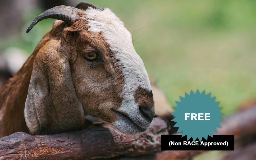 Top 10 Things You Need To Know About Goat Pneumonia